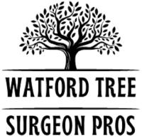 Watford Tree Surgeon Pros image 5