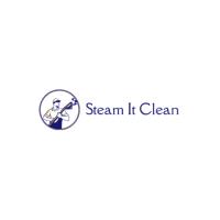 Steam It Clean image 1