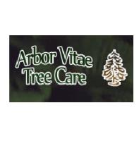 Arbor Vitae Tree Care image 1