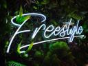 Freestyle Web Design logo