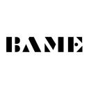BAME Models logo