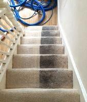 Carpet Cleaning Northwood - Prolux Cleaning image 1