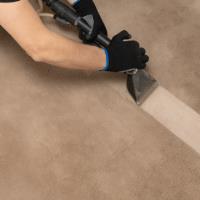Carpet Cleaning St Albans - Prolux Cleaning image 1