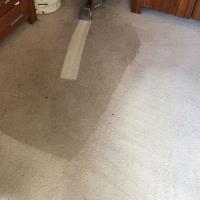 Carpet Cleaning Ruislip - Prolux Cleaning image 1