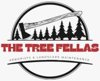 The Tree Fellas Midlands Ltd image 1