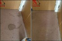 Carpet Cleaning Watford - Prolux Cleaning image 1