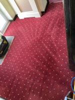 Carpet Cleaning South London - Prolux Cleaning image 1