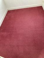 Carpet Cleaning Ealing - Prolux Cleaning image 1