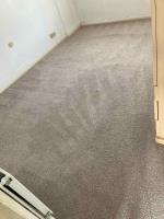 Carpet Cleaning Sutton - Prolux Cleaning image 1