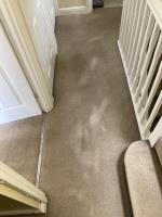 Carpet Cleaning Chiswick - Prolux Cleaning image 1