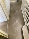 Carpet Cleaning Chiswick - Prolux Cleaning logo