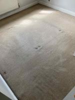 Carpet Cleaning Clapham - Prolux Cleaning image 1