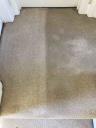 Carpet Cleaning 	Barnet - Prolux Cleaning logo