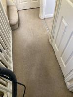 Carpet Cleaning Chiswick - Prolux Cleaning image 2
