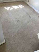 Carpet Cleaning Greenwich - Prolux Cleaning image 1