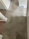 Carpet Cleaning Putney - Prolux Cleaning logo