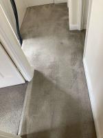 Carpet Cleaning Putney - Prolux Cleaning image 2