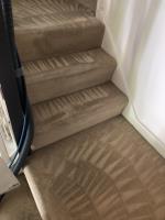 Carpet Cleaning East London - Prolux Cleaning image 1