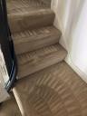 Carpet Cleaning East London - Prolux Cleaning logo