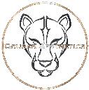 Cougar Aesthetics logo
