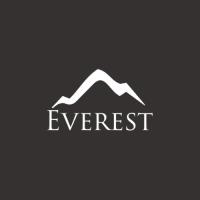 Everest Research - Debt & Equity image 1