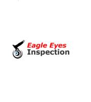 China factory audit report-Eagle Eyes image 1