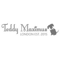 Teddy Maximus image 1