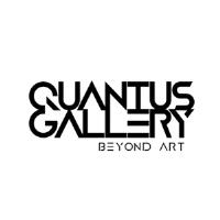 Quantus Gallery image 1