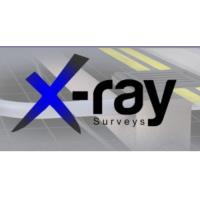 X-Ray Surveys image 1