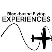 Blackbushe Flying Experiences image 3