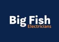 Big Fish Electricians image 1