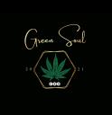 Green Soul MS Ltd logo