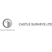 Castle Surveys Ltd image 1
