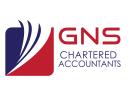 GNS Associates logo