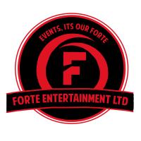 Forte Entertainment Ltd image 1