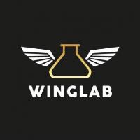 Winglab image 1