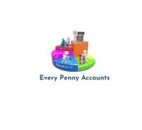 Every Penny Accounts image 1