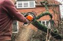 Nimble Tree Surgeon Hereford logo