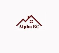 Alpha Business Contractors Ltd image 1
