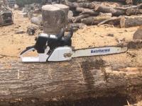 Logs and Saws image 3