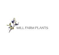 Mill Farm Trees image 1
