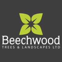 Beechwood Trees & Landscapes Ltd image 1