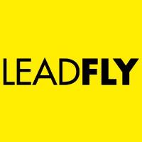 LeadFly Ltd image 1
