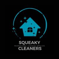 Squeaky Cleaners Nottingham image 1