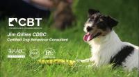 CBT Dog Behaviour & Training image 2