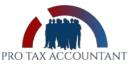 Pro Tax Accountant logo