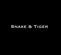 Snake And Tiger Tattoo image 1