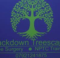 Blackdown Treescapes image 1