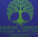 Blackdown Treescapes logo