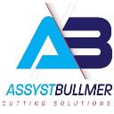 Assyst Bullmer logo